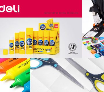 معرفی شرکت دلی