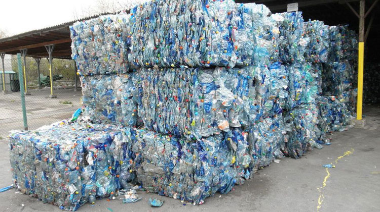 آنزیمی که بطری های پلاستیکی را میخورد