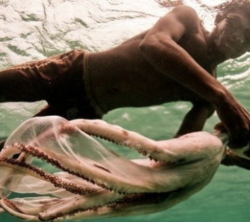 جهش ژنتیکی عشایر دریایی آسیای شرقی