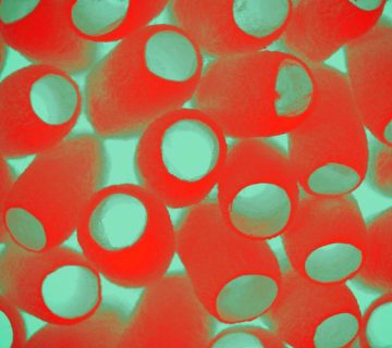 استفاده از ابریشم برای بهبود سلامت بدن