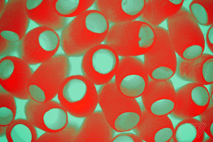 استفاده از ابریشم برای بهبود سلامت بدن