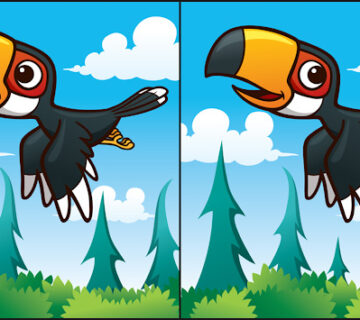 دانلود بازی Spot it